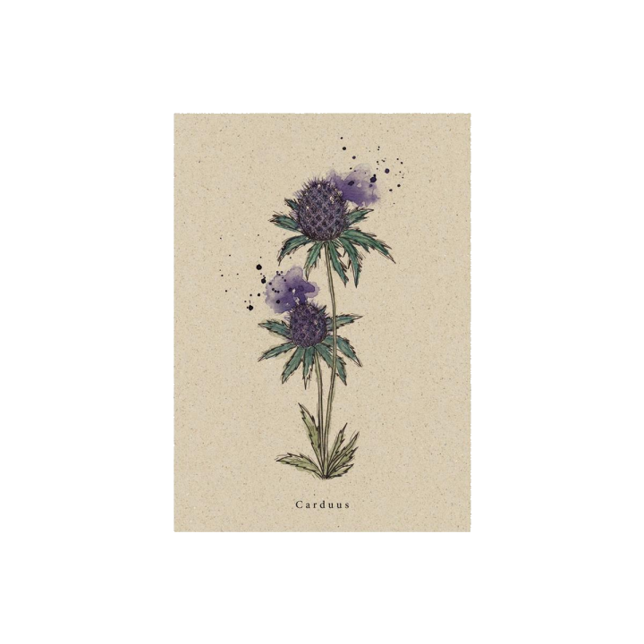 Postkarte Distel