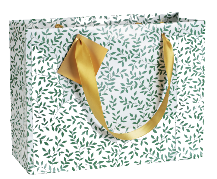 Clairefontaine Weihnachts-Geschenktüte , Émeraude, , groß