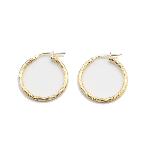Kreolen Modell: Shiny Hoop