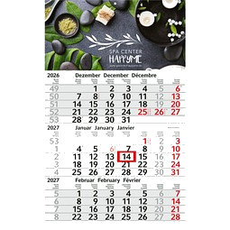 Geiger-Notes Monatskalender Budget 3 Bestseller, inkl. Druck, hellgrau