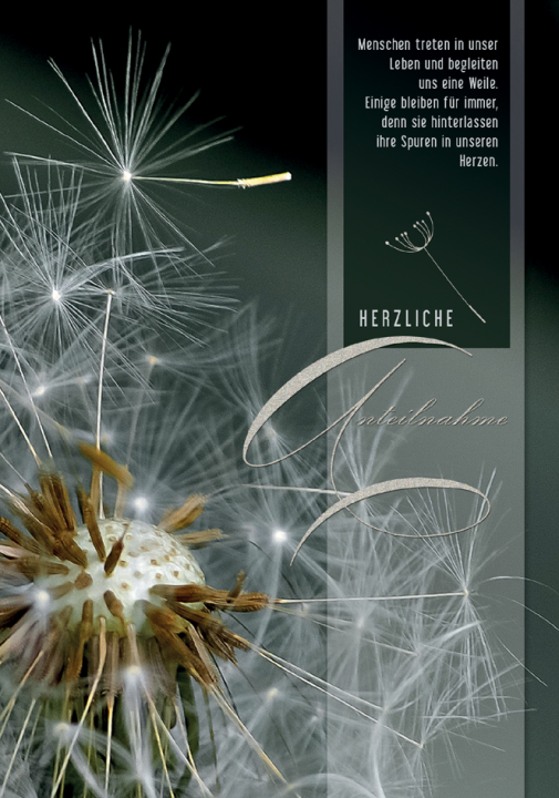 CACTUS Trauerkarte , Pusteblume Spuren,
