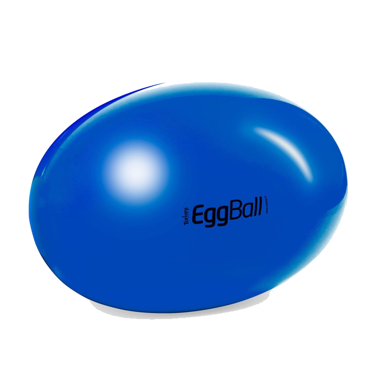 Original Pezzi Eggball STANDARD – Eiförmiger Therapieball für mehr Stabilität
