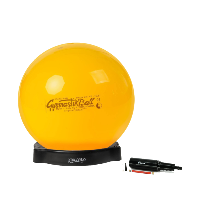 Original Pezzi® Gymnastikball STANDARD m.Ballschale u. Pumpe