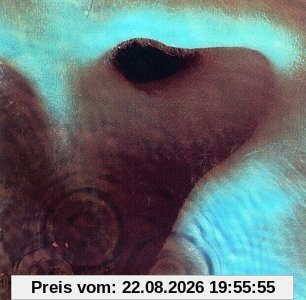 Meddle