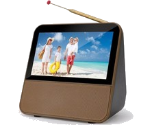 Digitaler Tragbarer Fernseher DVB-T2, 1080P HD Mini TV DAB+,DSP Digital Camping