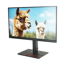 Lenovo ThinkVision Monitor P24h-20 23,8 Zoll QHD 2560 x 1440 Pixel 60Hz sg