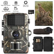 1080P 24MP Wildkamera Überwachungskamera Jagdkamera Fotofalle Nachtsicht+32GB
