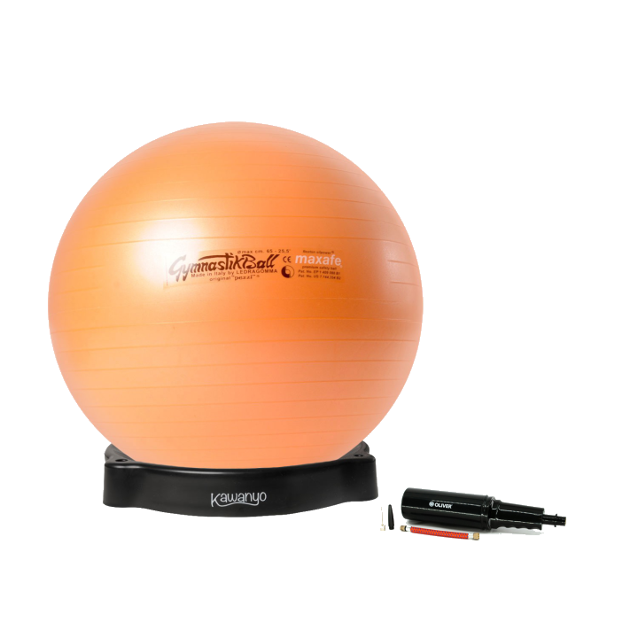 Original Pezzi® Gymnastikball MAXAFE m. Ballschale u. Pumpe