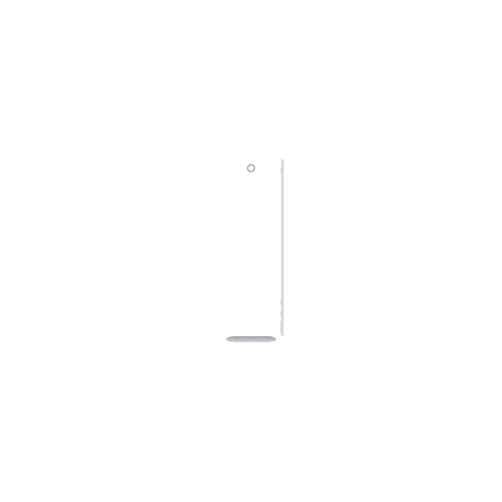 Apple USB-C auf Apple Pencil Adapter