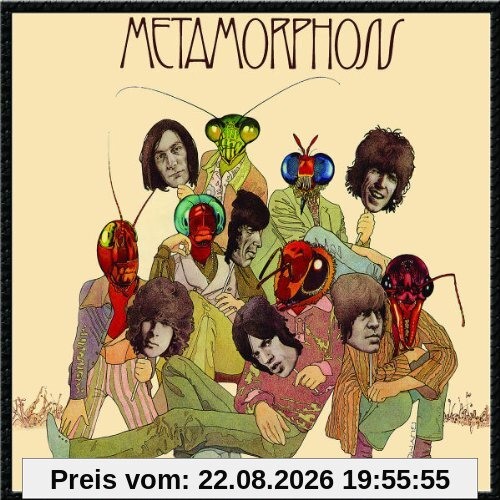 Metamorphosis