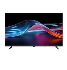 Metz HD Smart-TV MTE3001 61 cm 24 Zoll WLAN Schwarz Fernseher