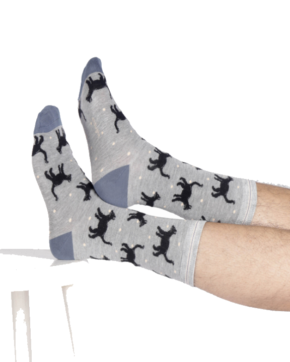 Socken Modell: Cats & Dogs