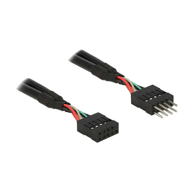 DeLOCK 0.1m 2xUSB2.0 10p