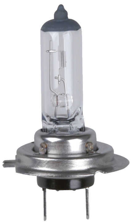 cartrend KFZ-Lampe H7 für Hauptscheinwerfer, 12 V, 55 Watt