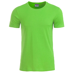 JAMES & NICHOLSON Herren T-Shirt Basic aus Bio-Baumwolle, hellgrün, XXL
