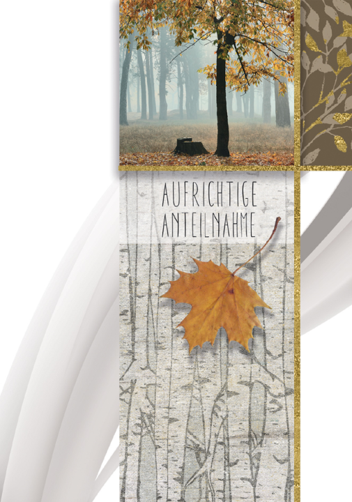 CACTUS Trauerkarte , Herbstwald & Blatt,
