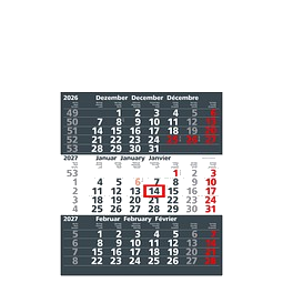 Werbe-Set: 150 Wandkalender 2027, inkl. Druck, dunkelgrau