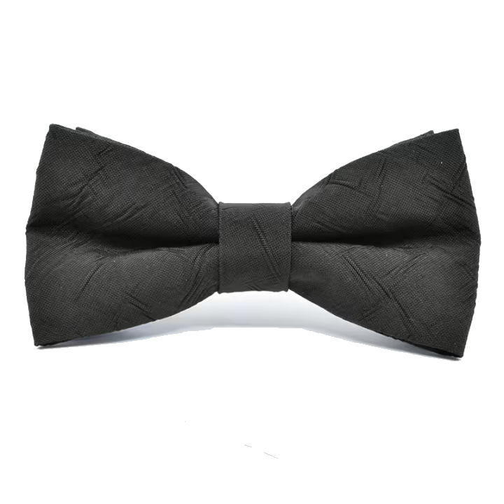 Airpaq Accessoires Fliege & Einstecktuch Schwarz