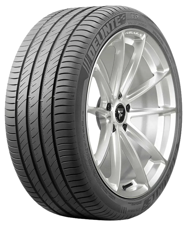 225/55 ZR16 99W DS2
