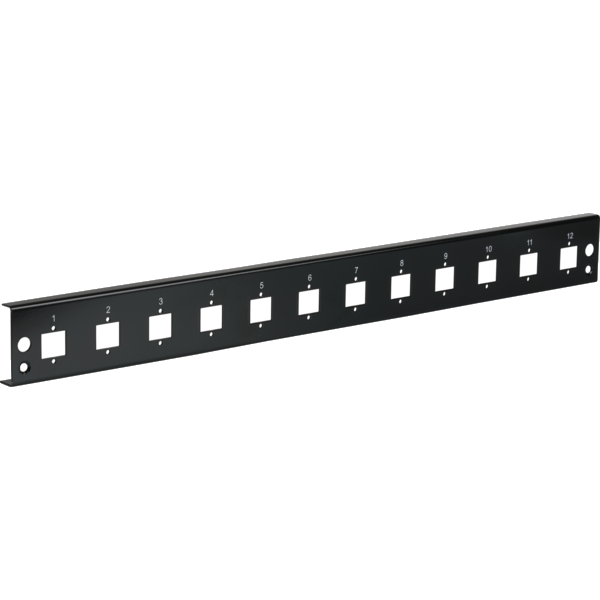 Frontblende 12xE2000®Duplex, E2000®, Compact (RDM) gerade Vers. sw