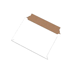 Einzelversandkarton B4 für Art. 170081,170201