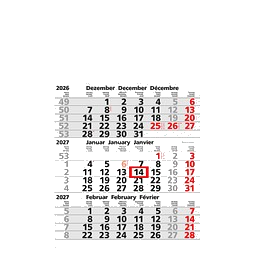 Werbe-Set: 150 Wandkalender 2027, inkl. Druck, hellgrau