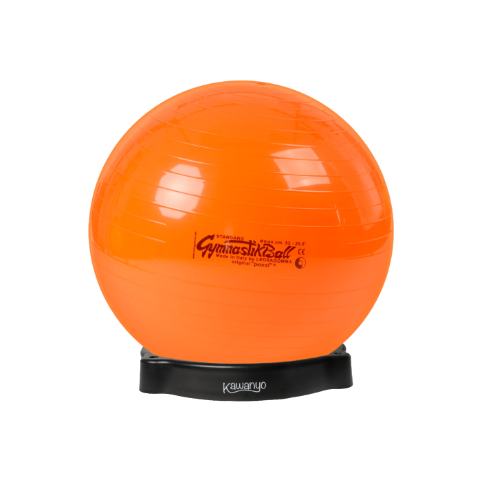 Original Pezzi® Gymnastikball STANDARD m. Ballschale