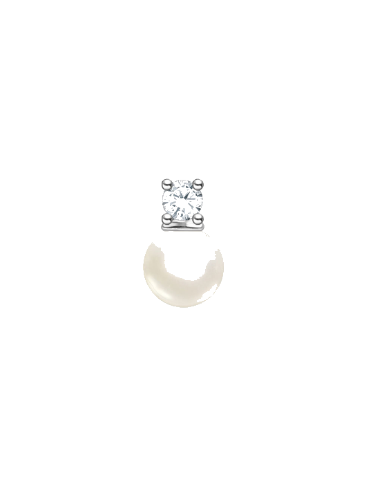 Thomas Sabo Ohrring H2214-167-14