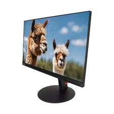 Lenovo ThinkVision P24h-10 23,8 Zoll Monitor QHD IPS Display 2560x1440 Pivot sg