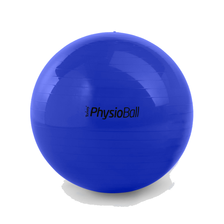 Original Pezzi® Physioball STANDARD