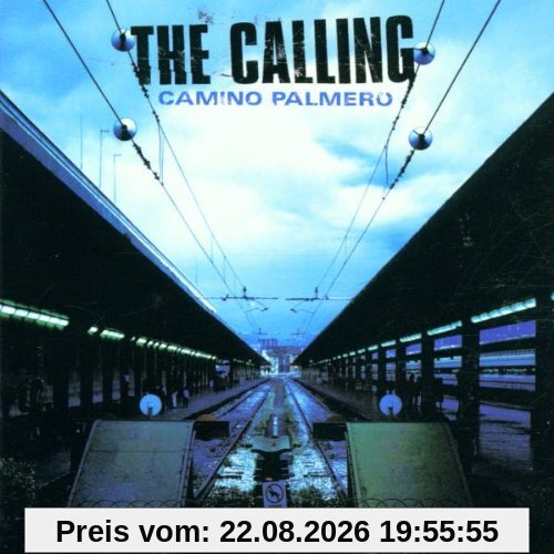 Camino Palmero