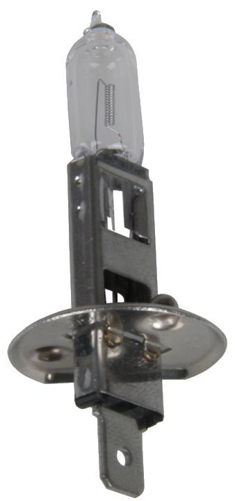cartrend KFZ-Lampe H1 für Hauptscheinwerfer, 12 V, 55 Watt