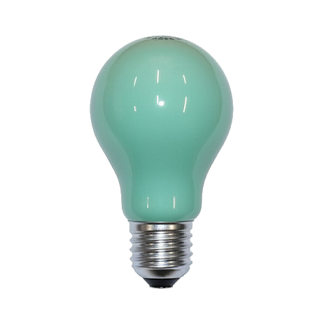 Scharnberger 40246 Glühlampe 25W grün B60x105mm E27 240V