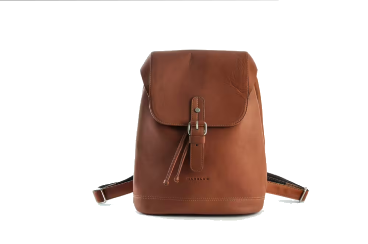 Harold's Campo Rucksack S Cognac