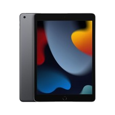 Apple iPad 10.2 9 Gen 2021 256GB WiFi + 4G LTE Space Grau Tablet Top Zustand
