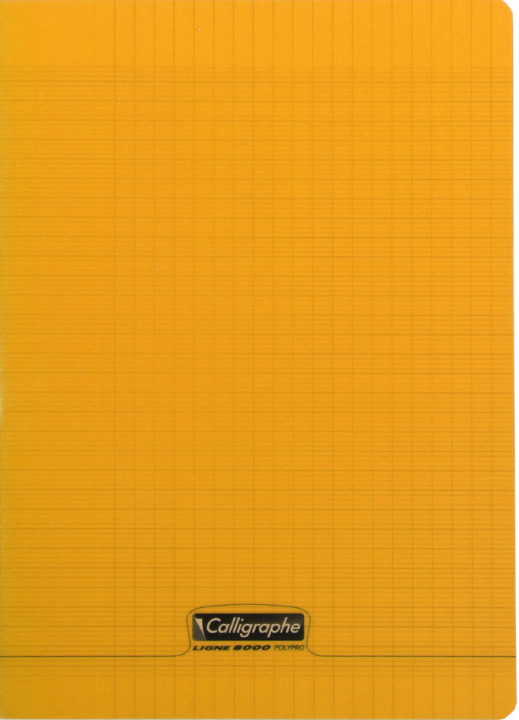 Calligraphe Schulheft, 240 x 320 mm, kariert, grün