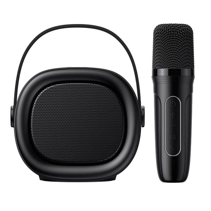 Tragbarer Bluetooth-Lautsprecher HAVIT SK819BT Karaoke, 5W, Schwarz
