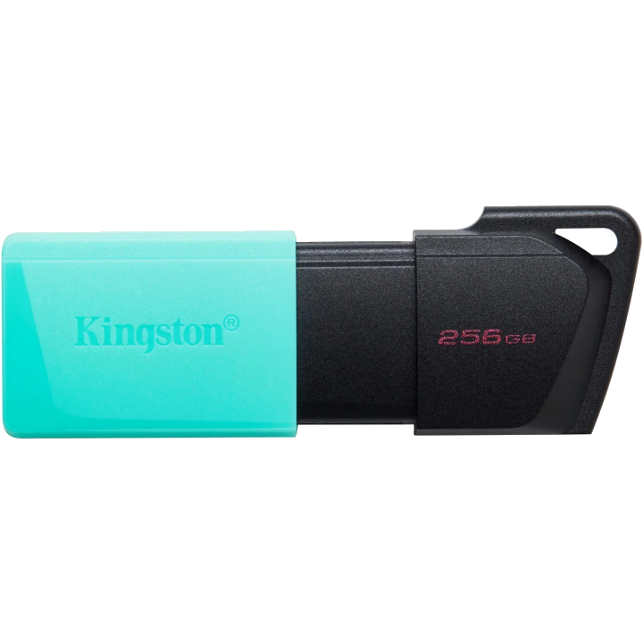 Kingston Technology DataTraveler Exodia M 256 GB, USB 3.2 Gen 1 (zwart blauwgroen) (DTXM/256GB)